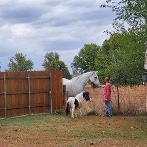 Meet your Posher, Nick